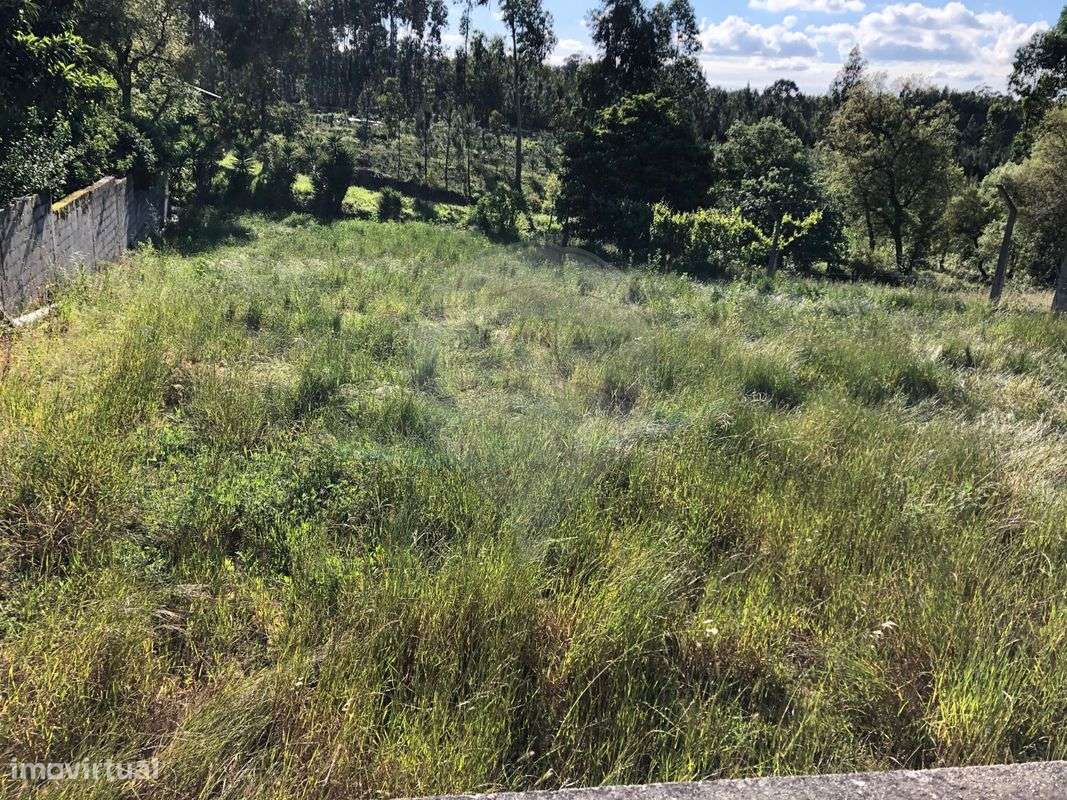 Terreno para venda - Grande imagem: 2/12