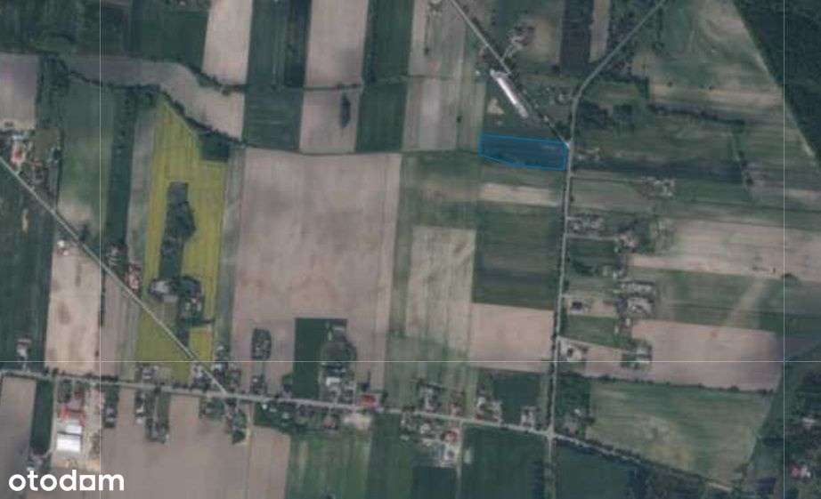 Działka inwestycyjna Korzeń Królewski - Pełny obrazek: 5/8