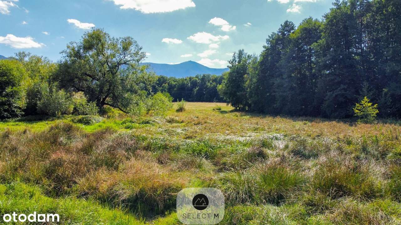 Działka z lasem i widokiem na Śnieżkę - Pełny obrazek: 4/8