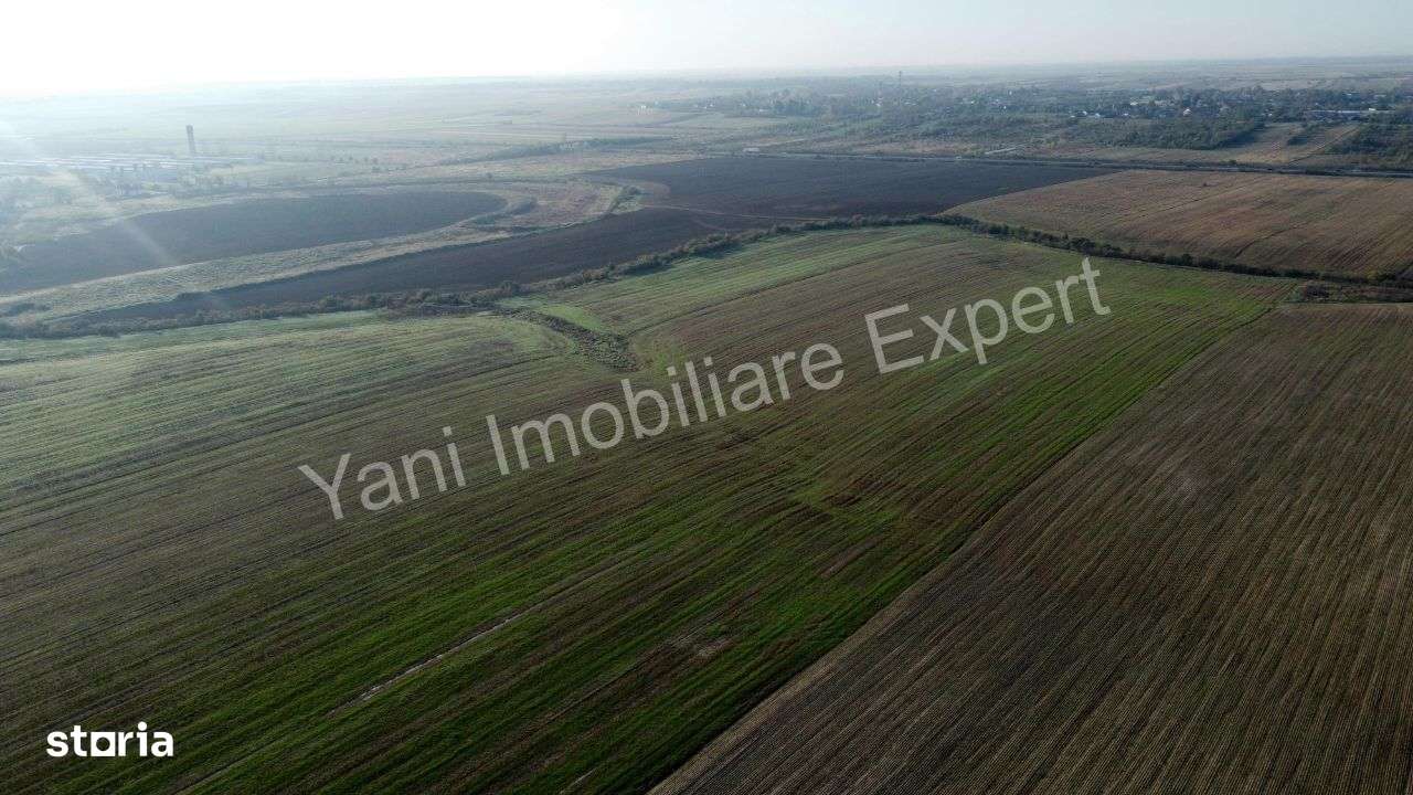 Teren de vânzare în comuna Căteasca / Argeș, lângă autostradă - Imagine principală: 4/10