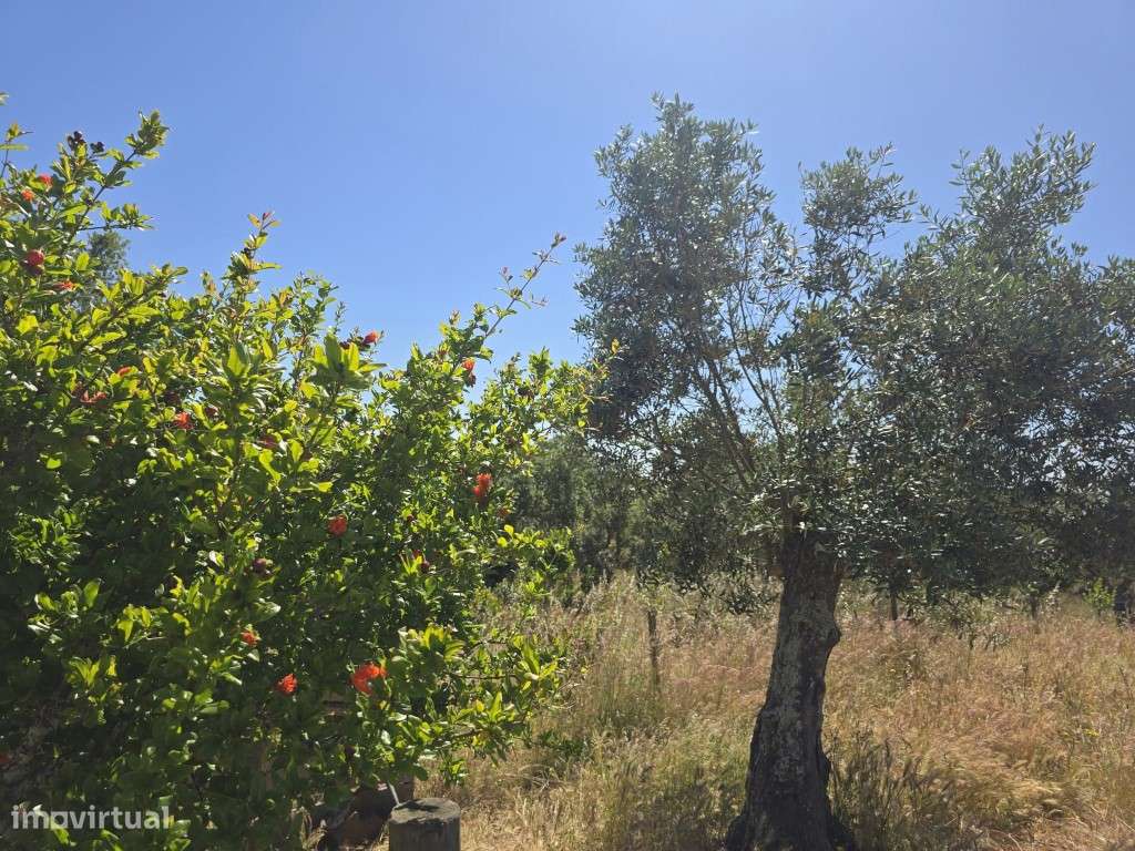 Monte Alentejano - Grande imagem: 4/8