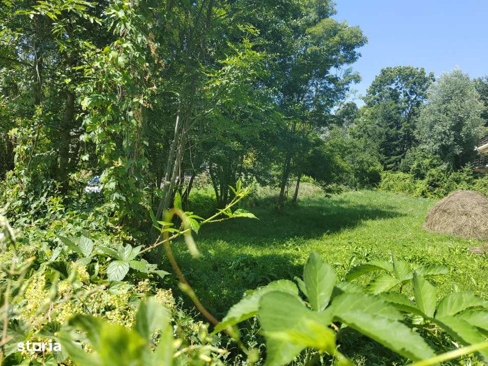 Teren intravilan 1035 mp cu parau, Breaza, Prahova - Imagine principală: 4/6