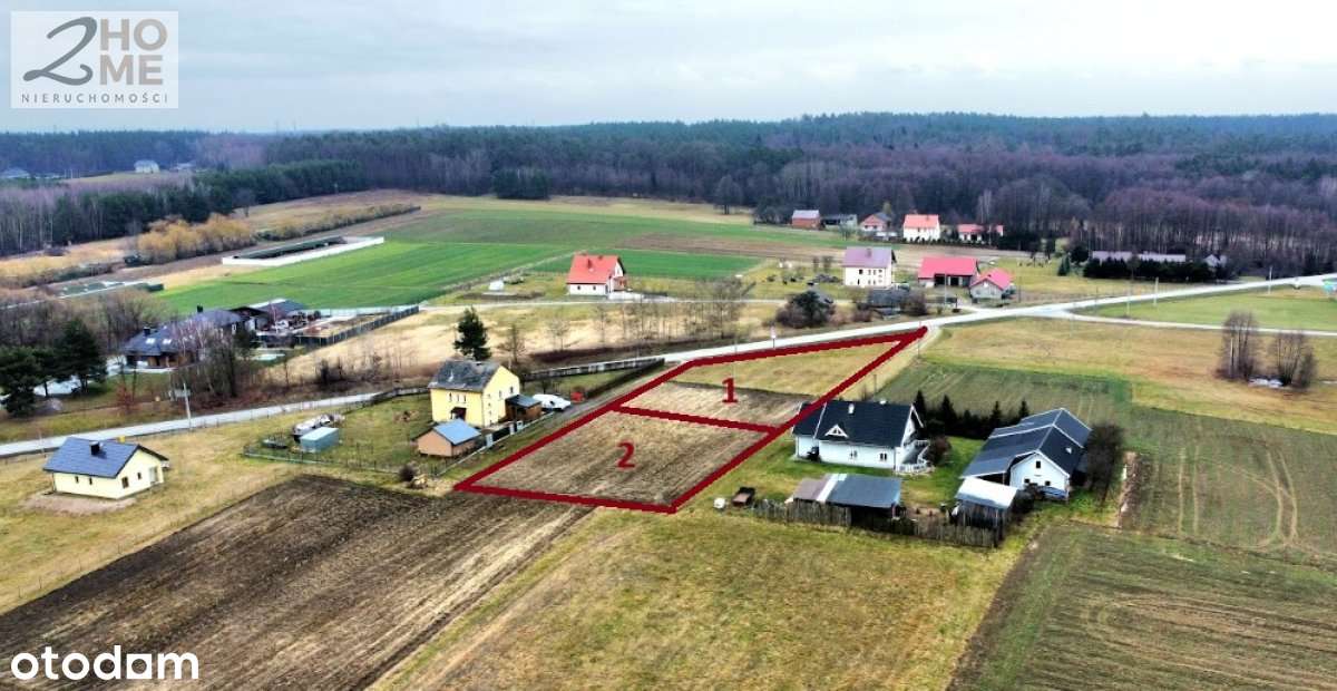 40 arów z WZ w Janowcu - Pełny obrazek: 4/12