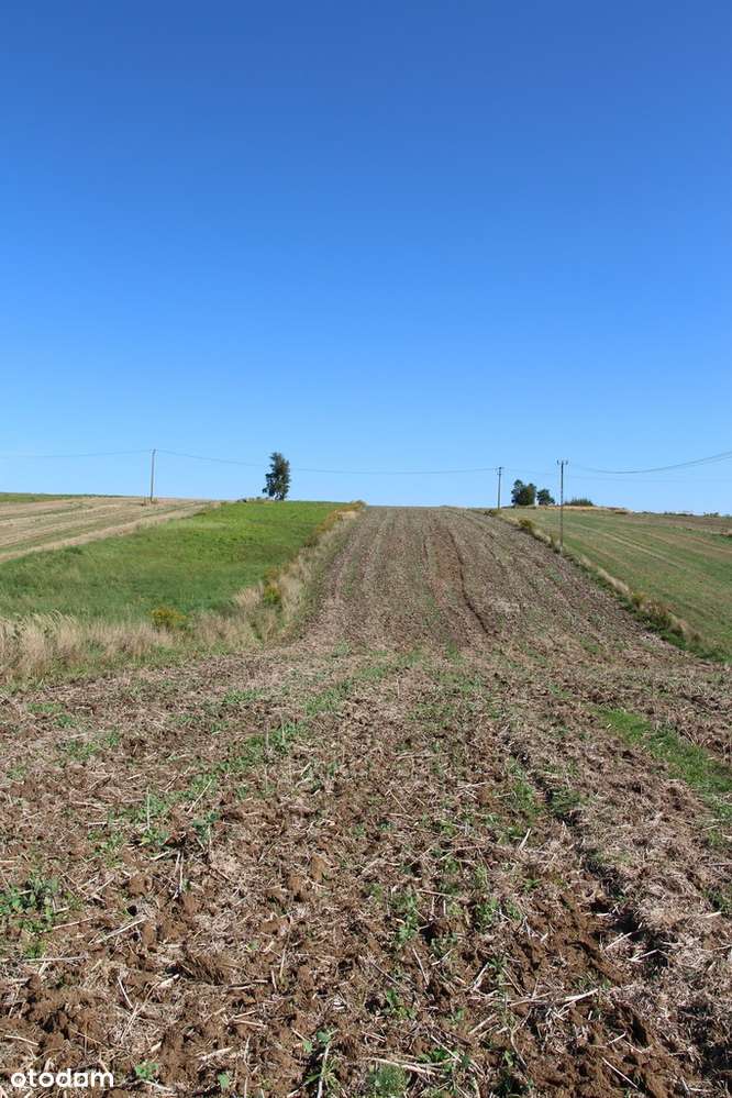 Działka budowlano - rolna przy Parku Ojcowskim-3