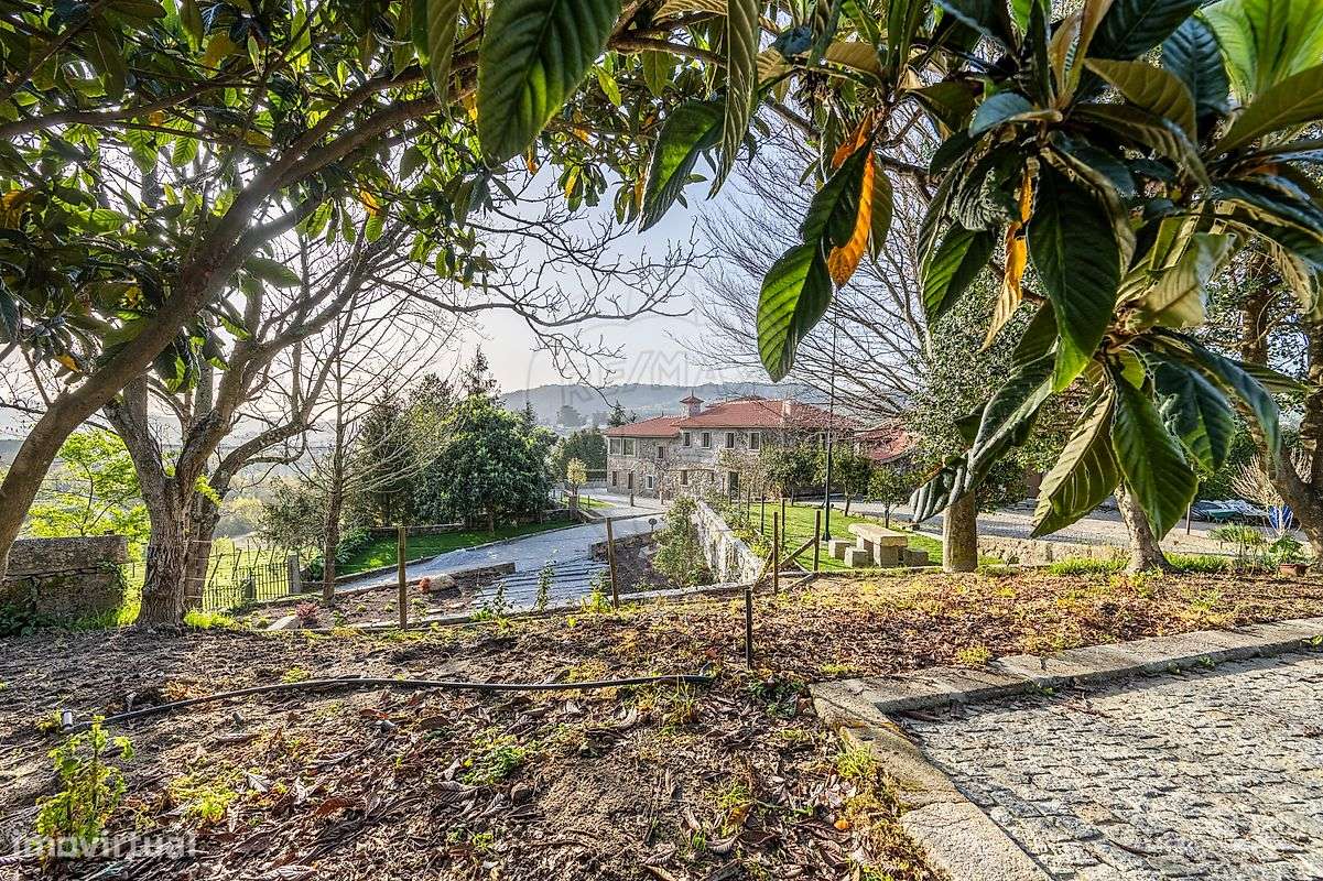 Quinta  para venda-17