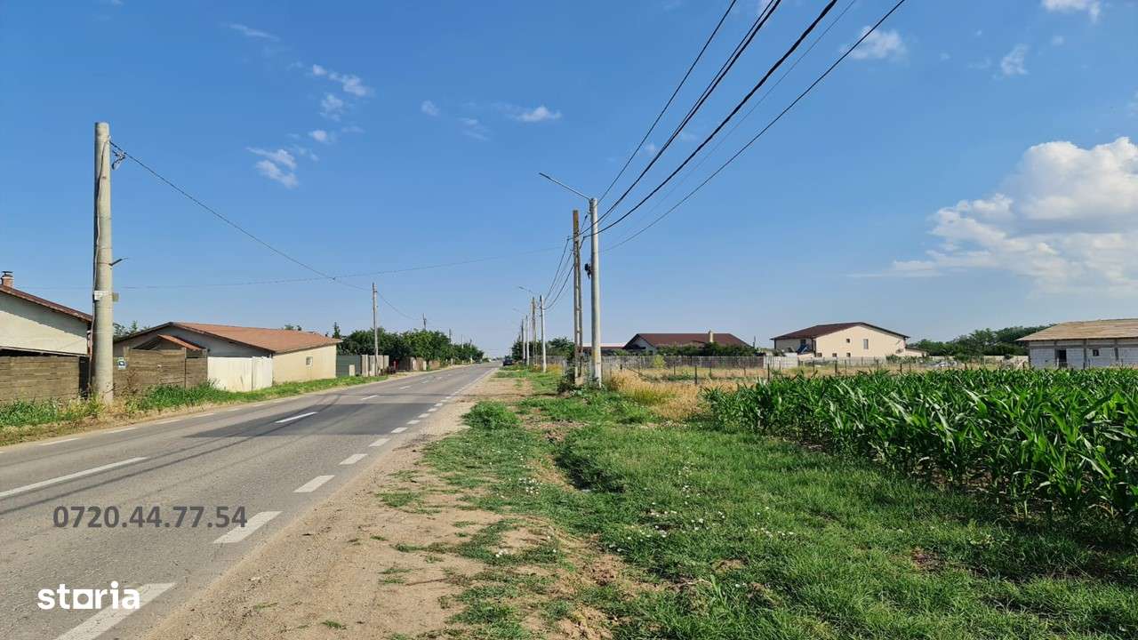 Teren Intravilan de Vanzare in Dobreni Comuna Berceni strada Asfaltata-2