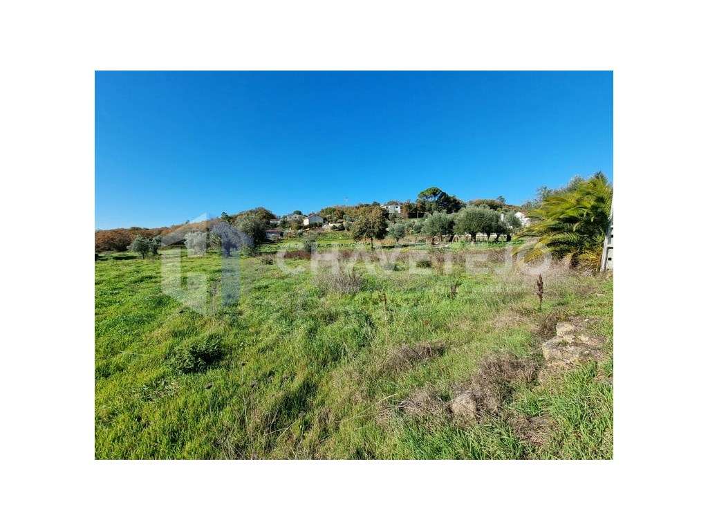 Terreno com viabilidade de construção, próximo de bons acessos, a 1... - Grande imagem: 3/5