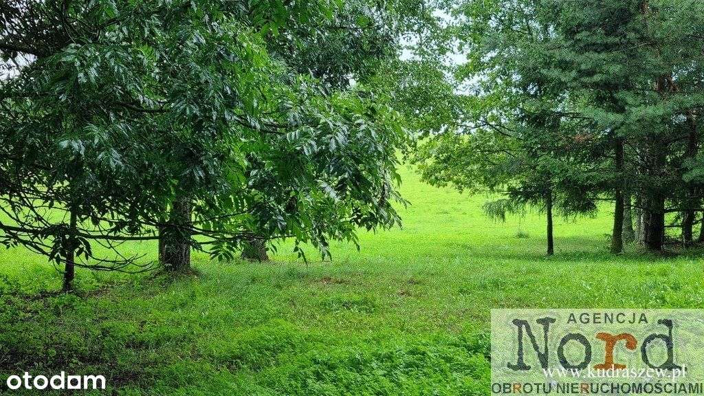 Działka z linią brzegową jeziora Gaładuś - Pełny obrazek: 5/12