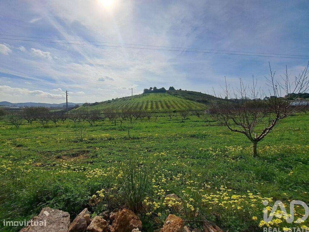 Terreno em Azueira e Sobral da Abelheira de 21437,00 m2 - Grande imagem: 5/23