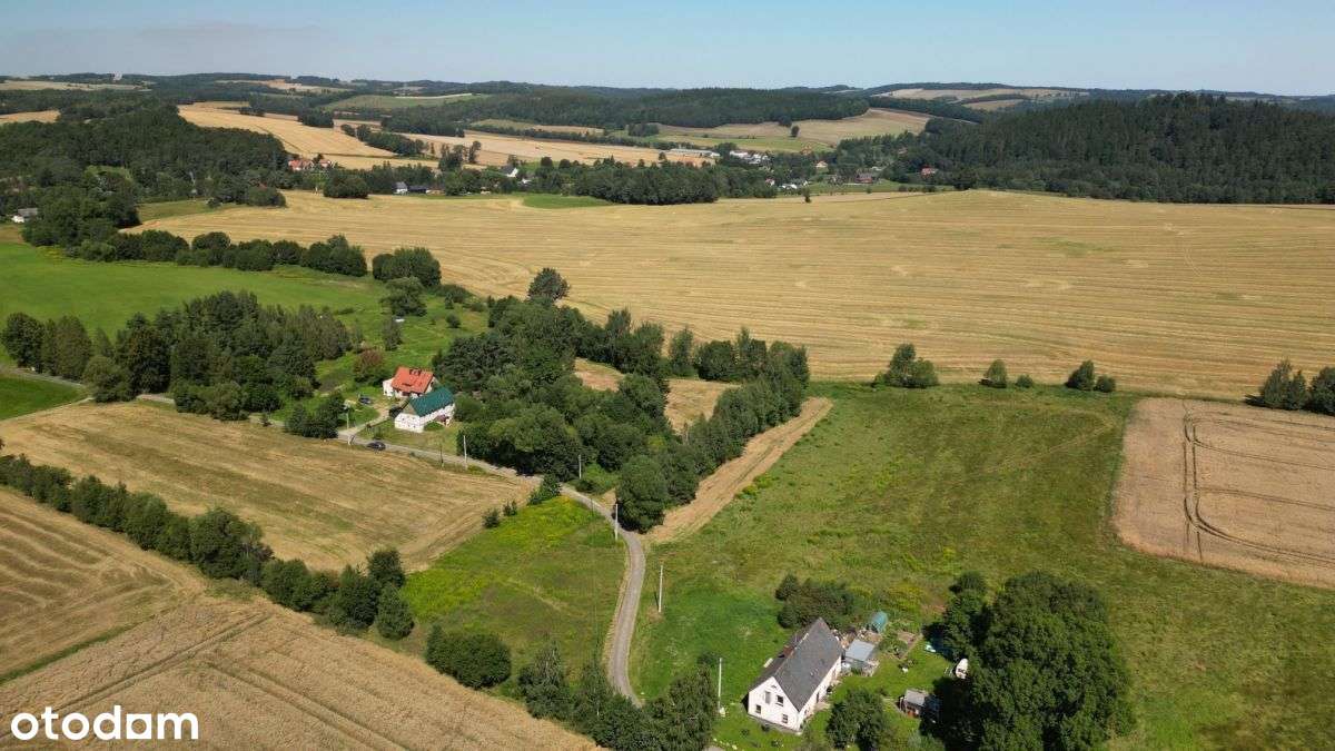Pogórze Izerskie - Działka Siedliskowa+Rola-5