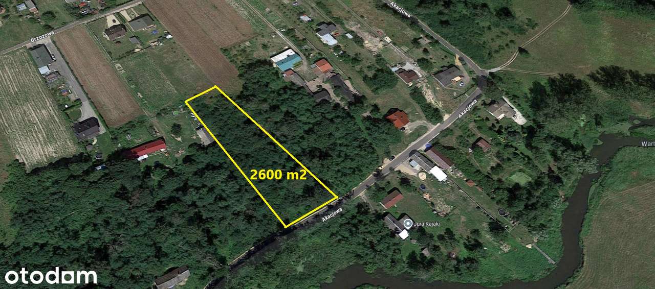 Przepiękna działka leśno - budowlana, w dorzeczu Warty, Kłobukowice ! - Pełny obrazek: 5/10