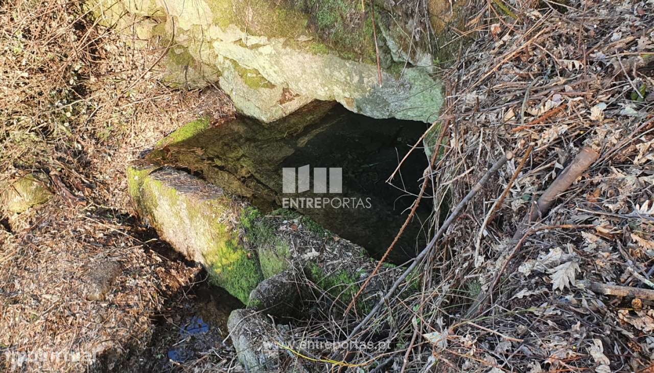 Venda Terreno, Várzea de Ovelha e Aliviada, Marco de Canaveses - Grande imagem: 5/30