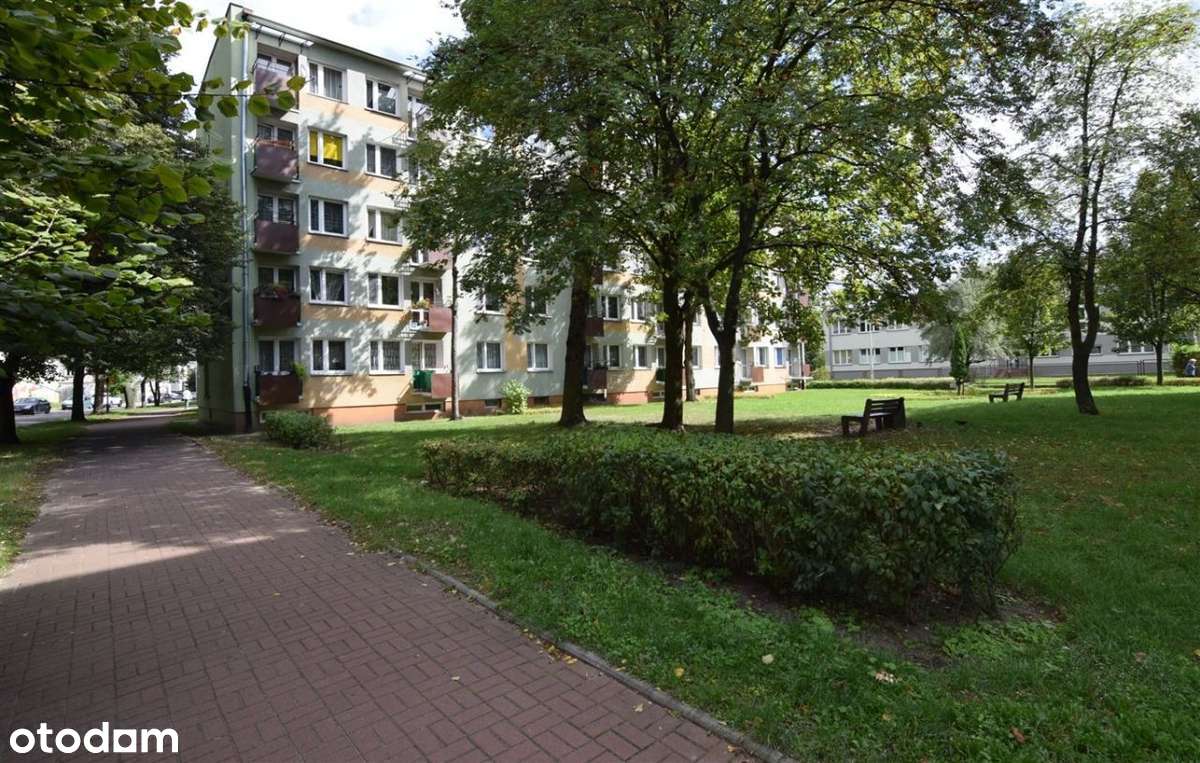 Powstańców Śląskich - Dobra Cena!-4