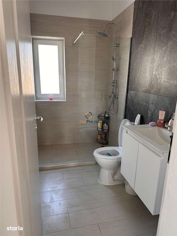 Apartament cu 2 camere  parter Casa Insiruita  Mosnita Veche-6