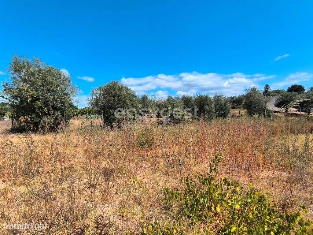 Moradia com terreno e poço de água em Mouriscas - Abrantes - Grande imagem: 4/15