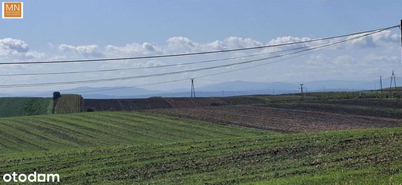 Koszyce,Rachwałowice,Działki 1,2142haRolne-0