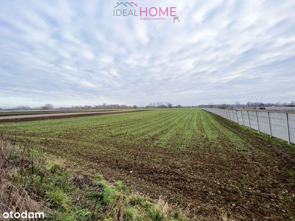 Atrakcyjna działka z Wz w Jasionce - Pełny obrazek: 4/5