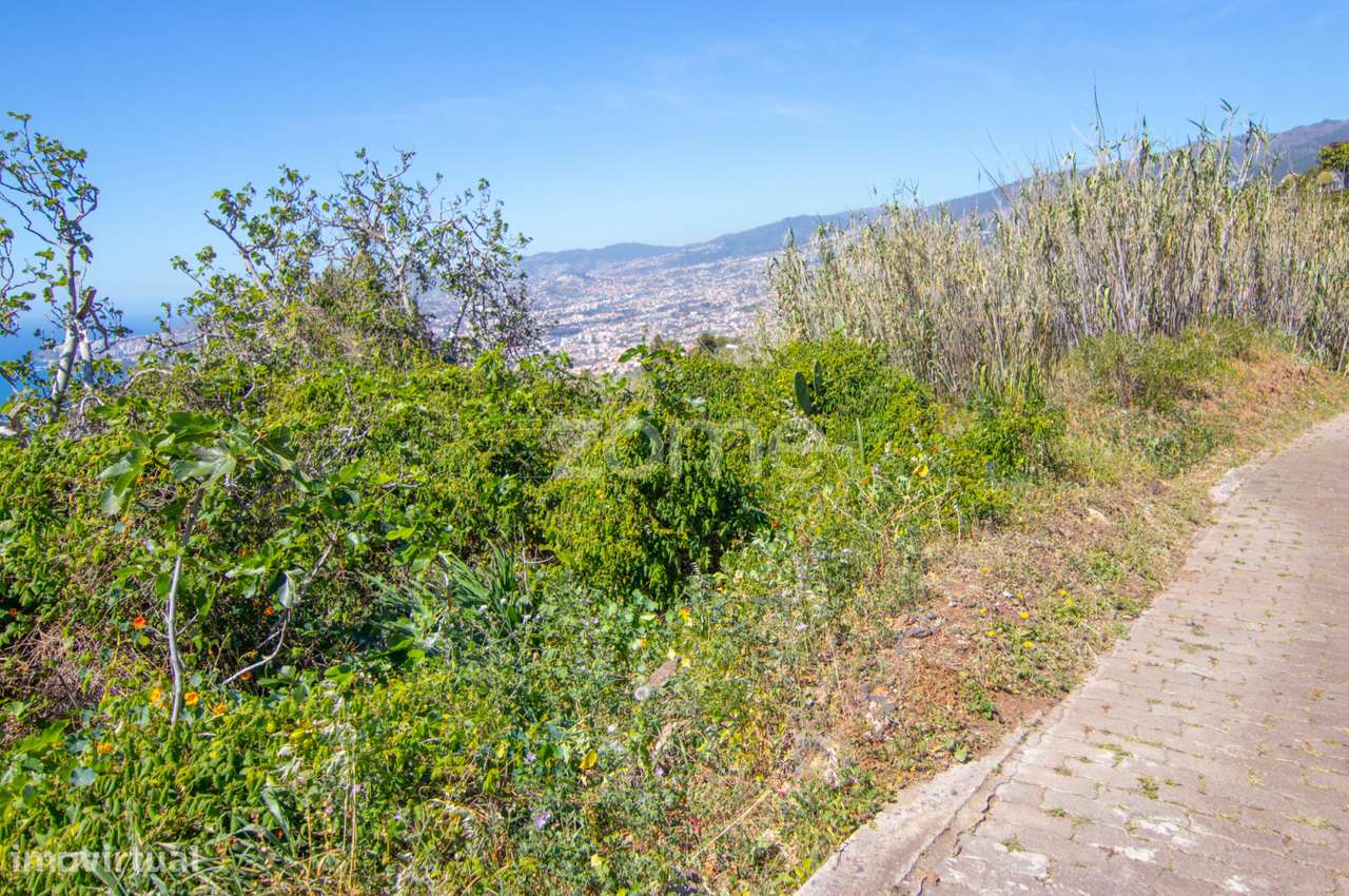 Terreno - Grande imagem: 4/6