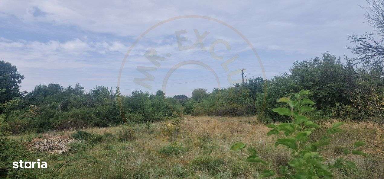 TEREN POIANA LACULUI - Imagine principală: 2/4