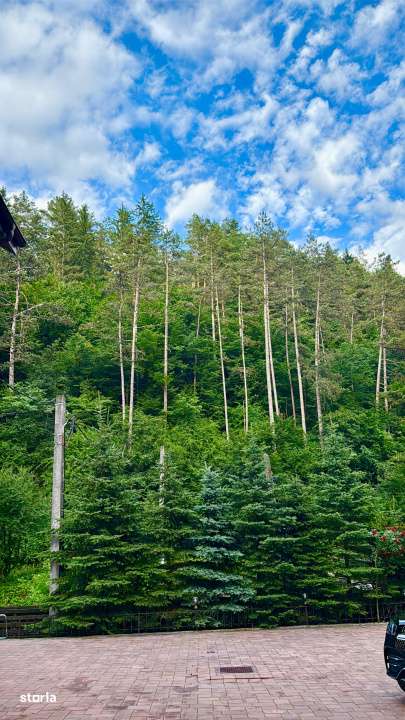 Casa de vacanta sau pensiune | Batca Doamnei | Teren in natura-11