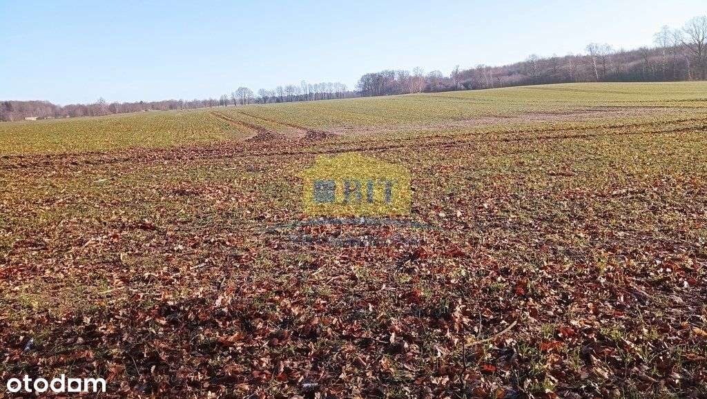 Działka 6066 m2, z dostępem do jeziora Kaleńsko-16