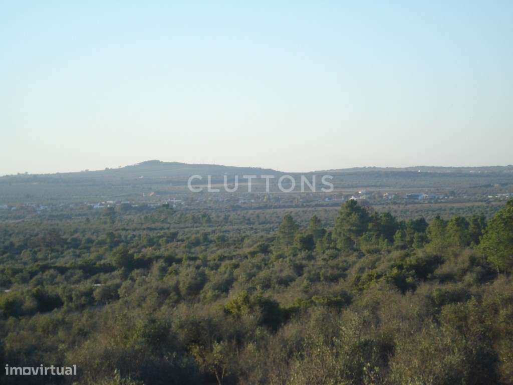 Terreno, 5.4 hectares, PIP aprovado, com possibilidade construção d...-5