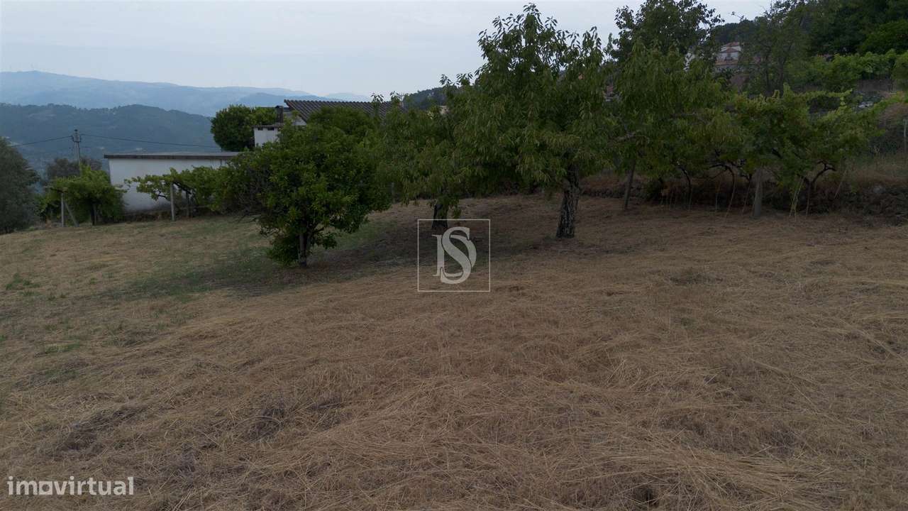 Terreno Para Construção  Venda em Ancede e Ribadouro,Baião-19