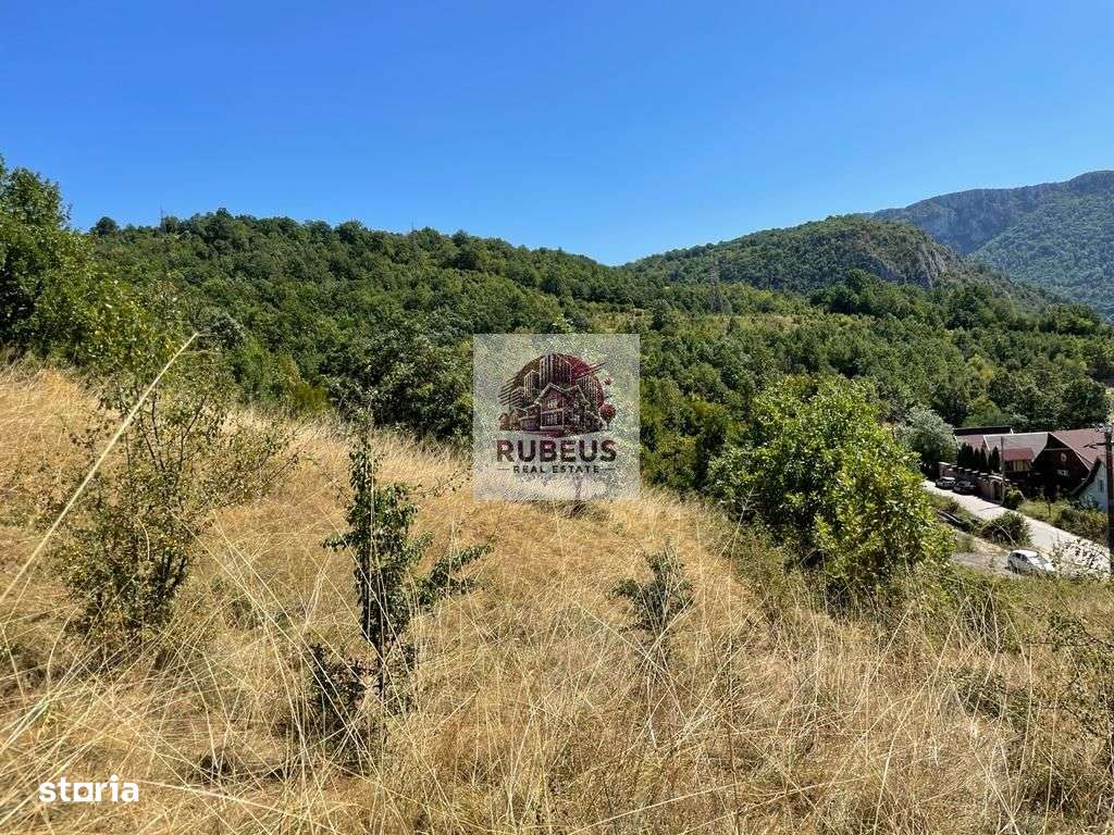 Teren intravilan 2.580 mp Eșelnița, acces DN57, ideal turism, locuinte-11