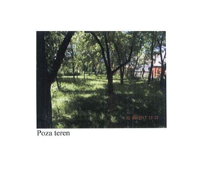 Vanzare CASA + TEREN 1445 mp in Salistea de sus - Imagine principală: 4/4