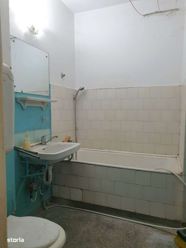 Titan Potcoava- parc Brancusi-4