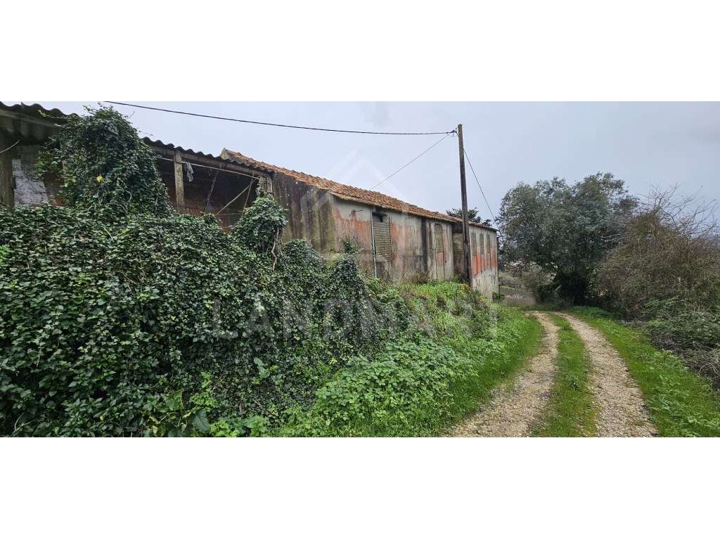 Terreno - Ribafria - Grande imagem: 3/4