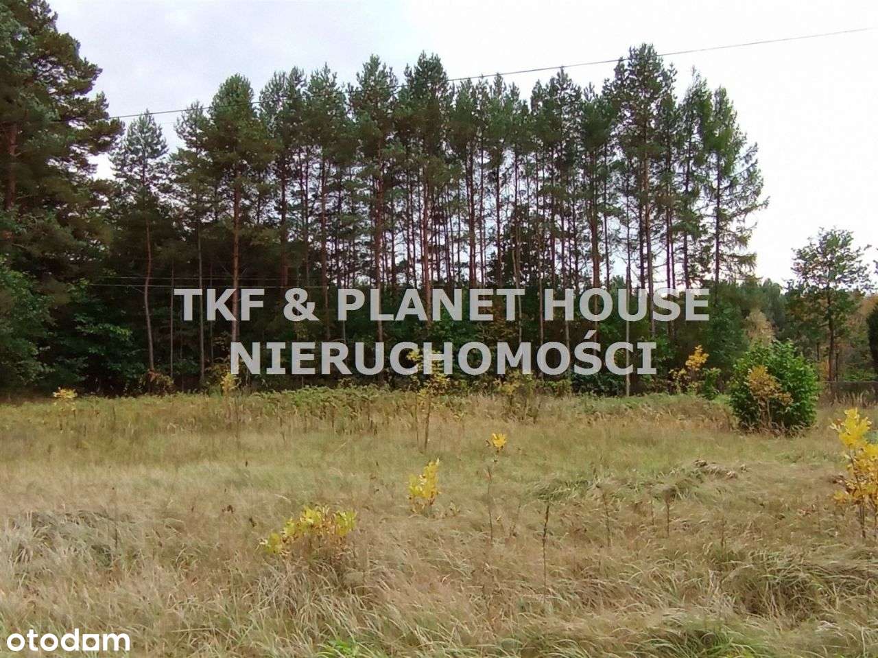 Działka 1431m2 w msc. Teofilów nieopodal Pilicy - Pełny obrazek: 5/7