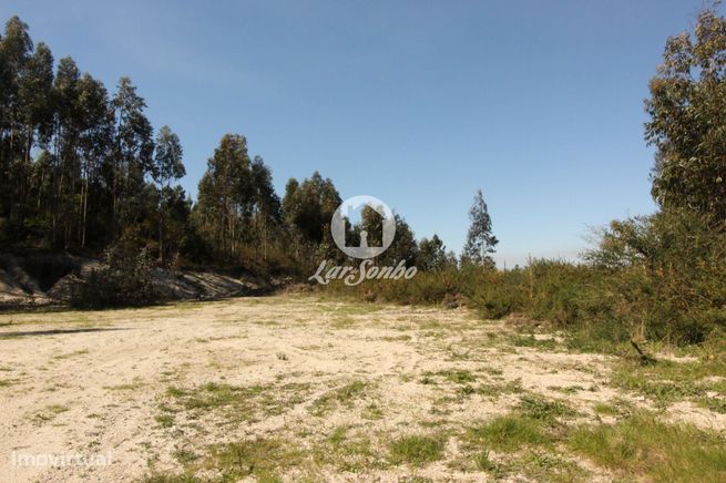 Terreno para loteamento Silvares S. Martinho Fafe-5
