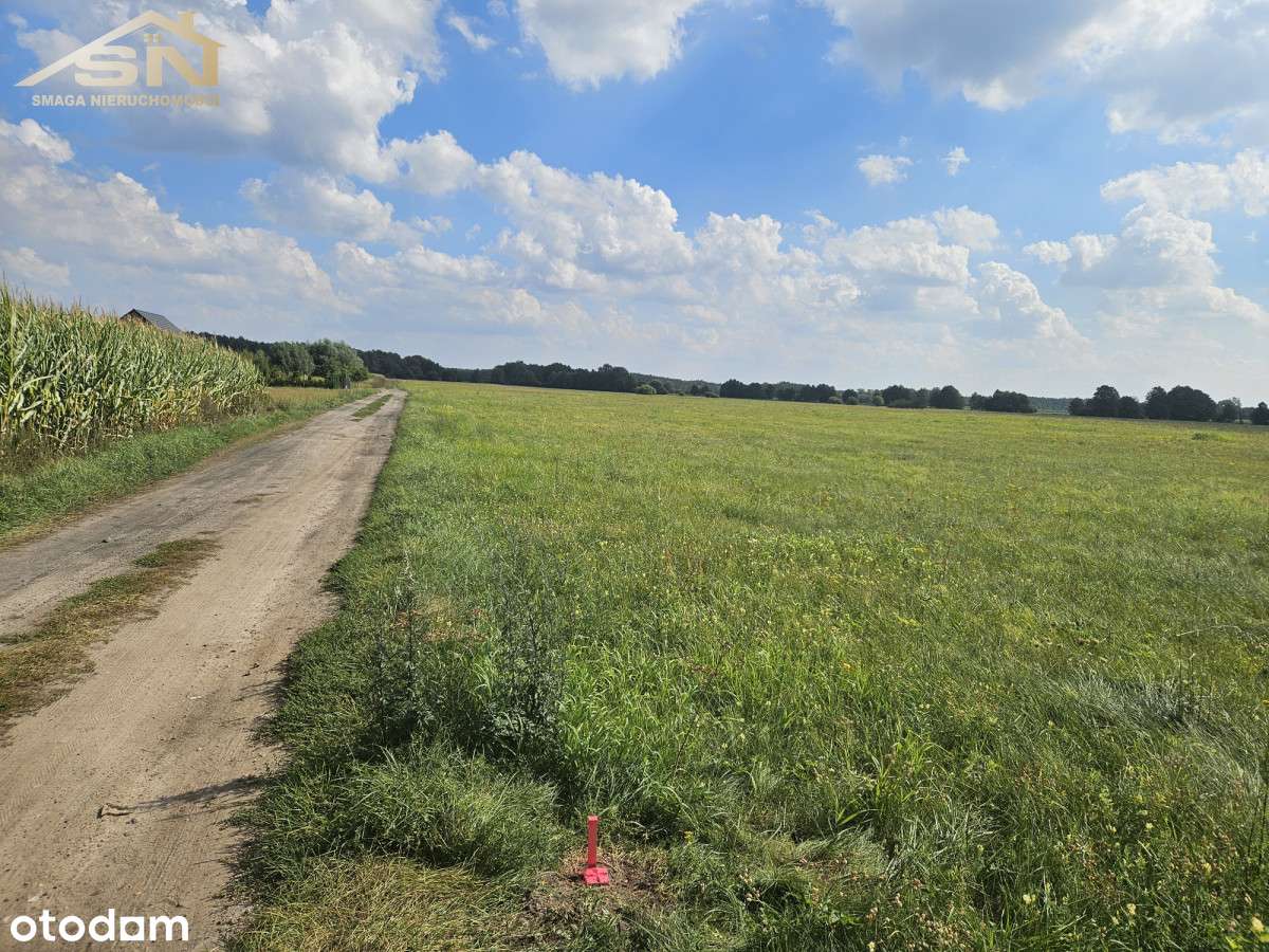 Urocze działki blisko od lasu! - Pełny obrazek: 4/6