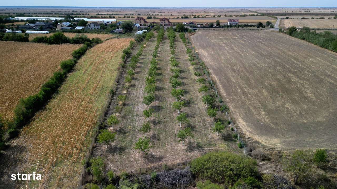 Vanzare teren 9654 mp, deschidere 27m, comuna Dobra, sat Dobra - Imagine principală: 5/8