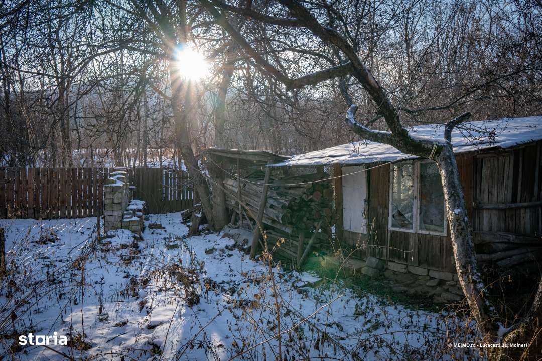 Lucacesti 31 - Confortul unei case, fara grija terenului prea mare-8