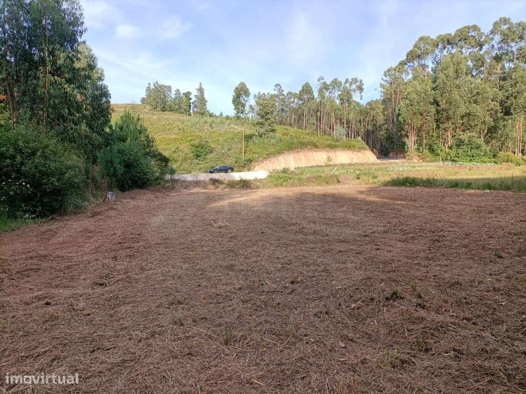 Terreno agrícola em Fornelos - Grande imagem: 5/8
