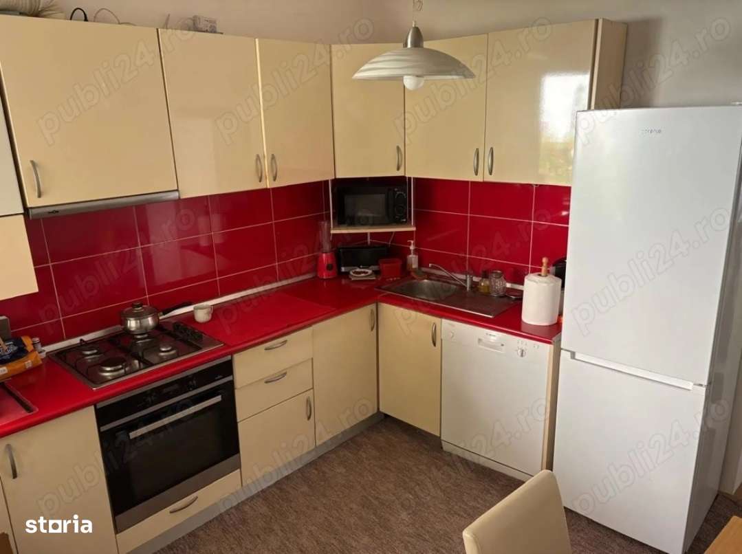 Casa singur in curte in Orasul de Jos-7