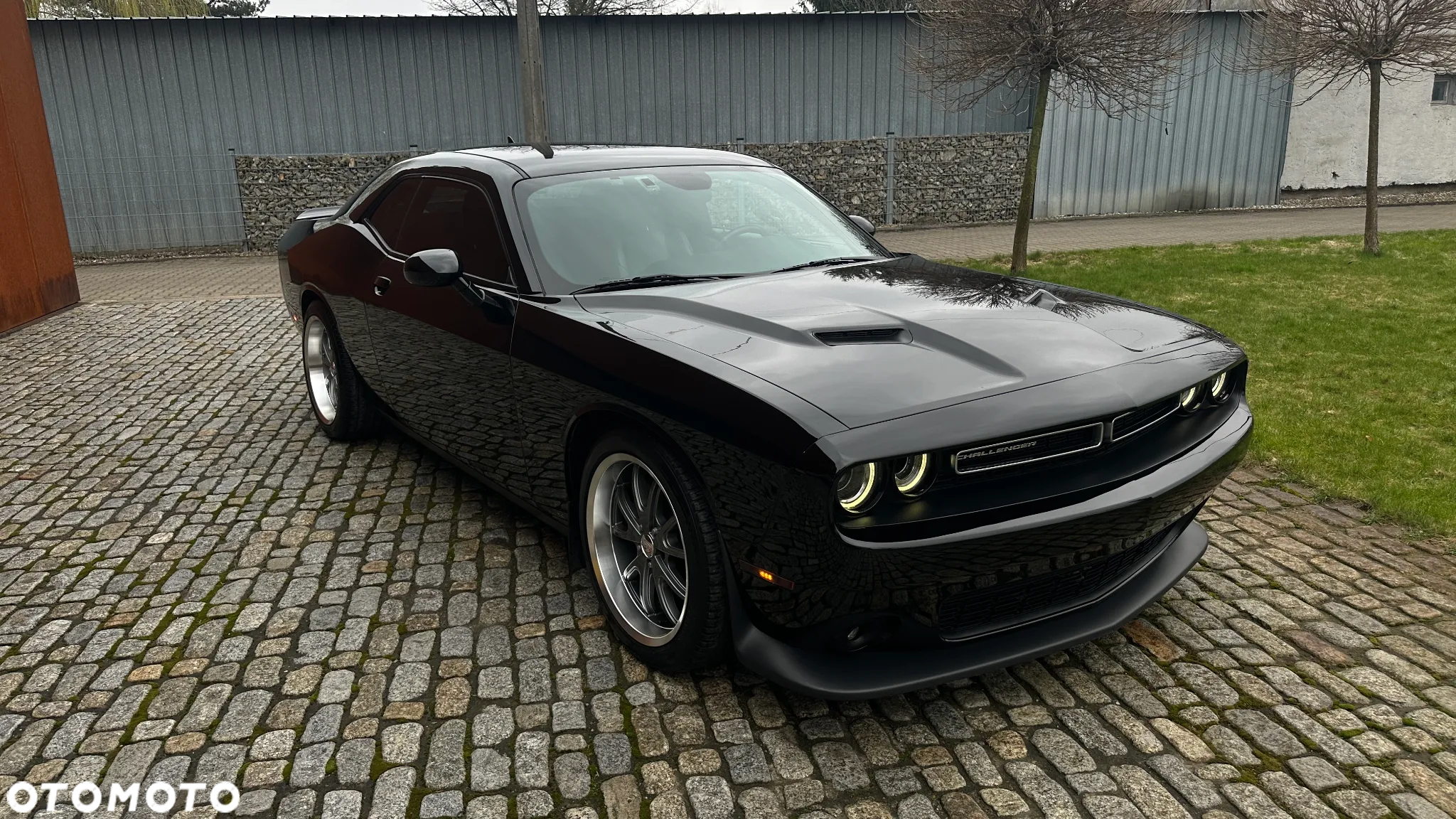 Dodge Challenger 3.6 SXT Plus - 3