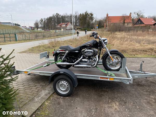 Harley-Davidson Sportster Custom 1200C - 13