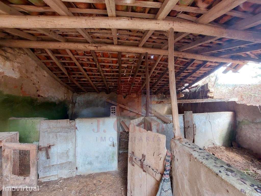 Casa Antiga para Restauro, Salir de Matos-30