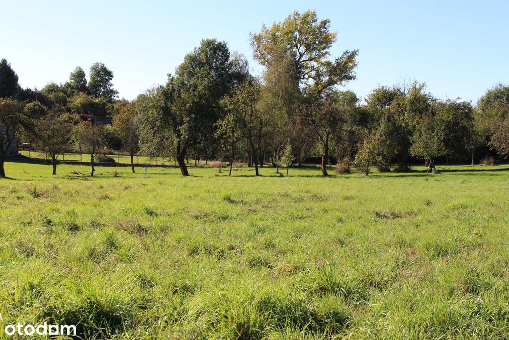 Działka budowlana w Jerzmanowicach-5