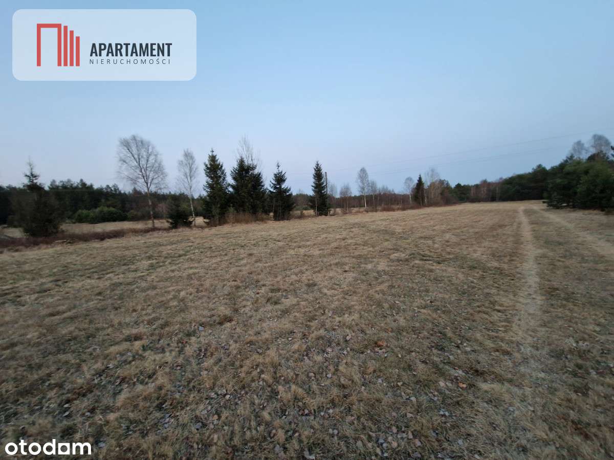 Spokojna okolica, blisko lasu! - Pełny obrazek: 4/6