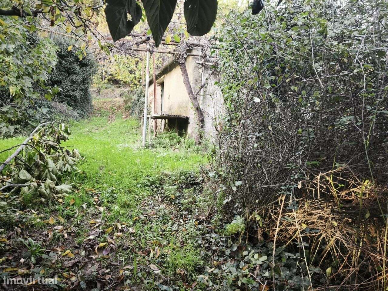 Quintinha / Fundão, Fundão - Grande imagem: 3/5