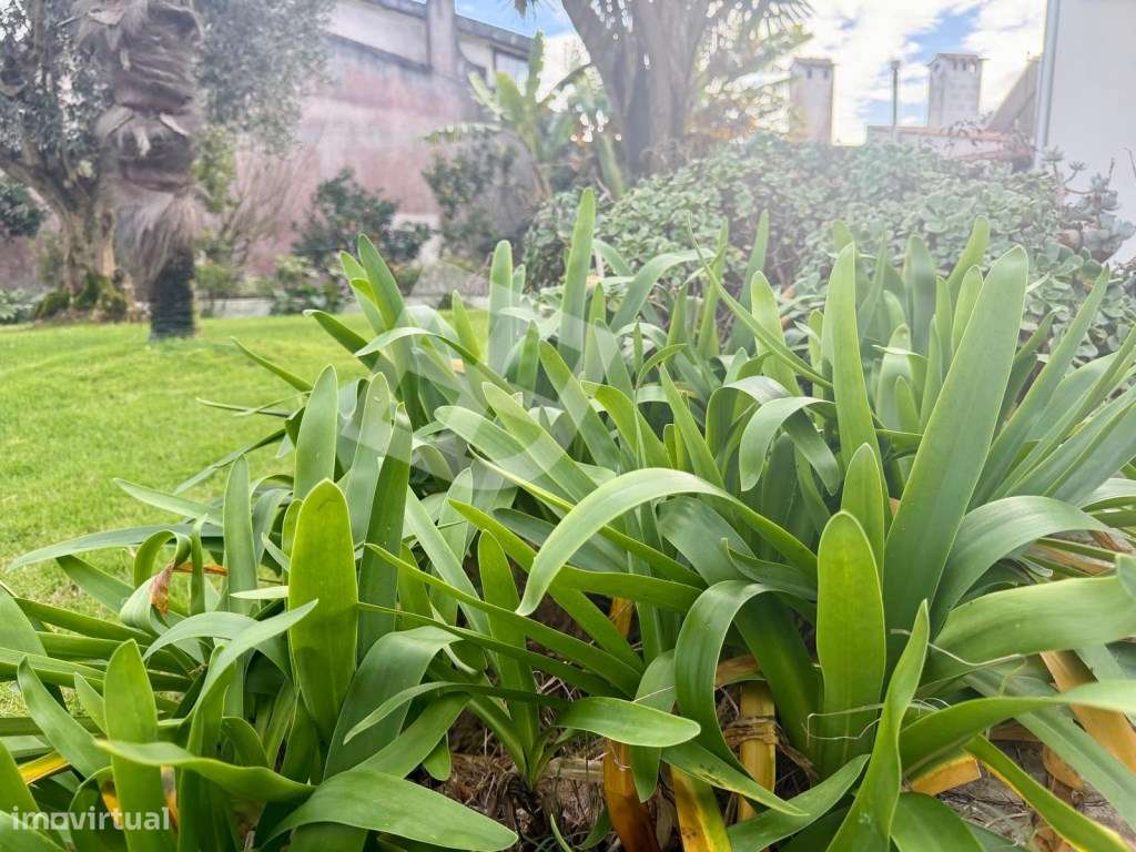 Moradia T4 Isolada c/ Jardim - Patela - S. Bernardo-41