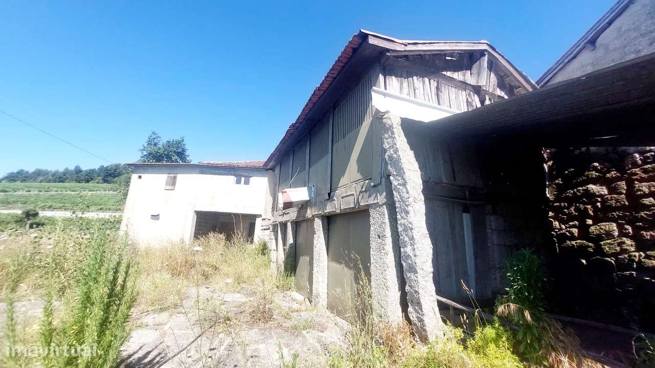 Várias casas para recuperar em terreno com exploração viticula - Grande imagem: 5/12