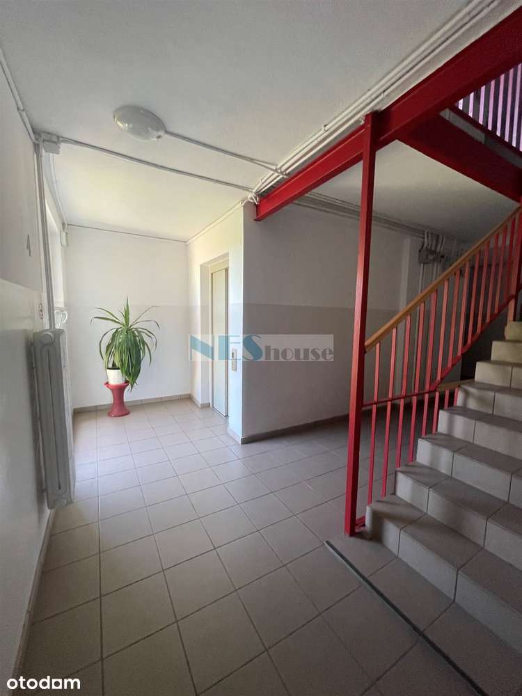 Pełen rozkład, tramwaj!-15