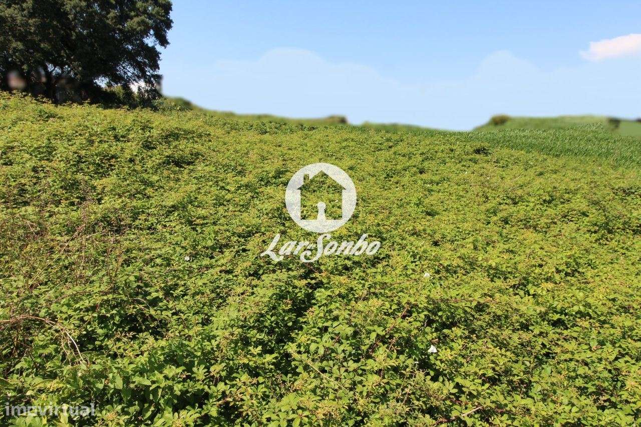 Terreno para construção - Grande imagem: 3/29