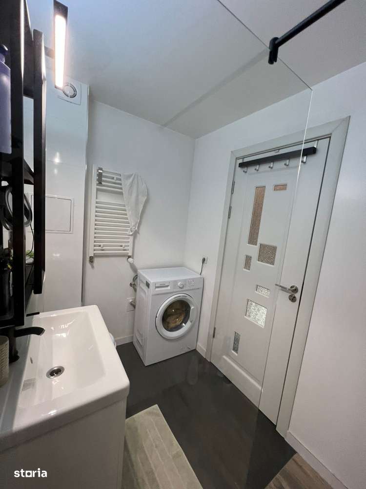 Cartier Brancusi ANL Coloana infinitului-11