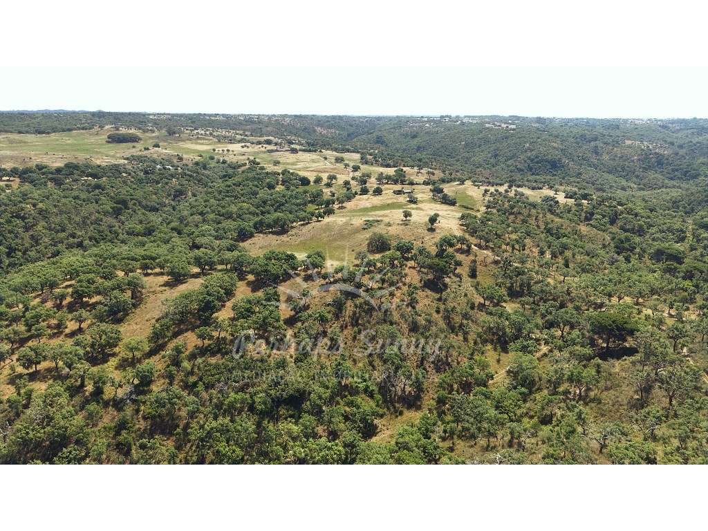 Terreno Misto - São Francisco da Serra - Melides-19